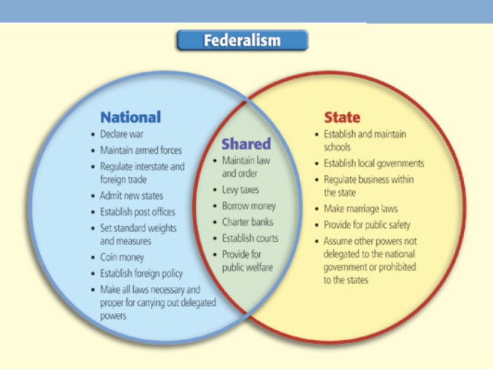 The federal in federalism worksheet