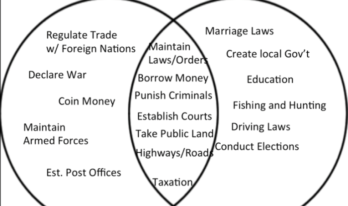 The federal in federalism worksheet