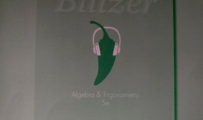 Blitzer algebra and trigonometry book