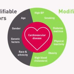 Heart disease is a hereditary risk factor in jamal's family