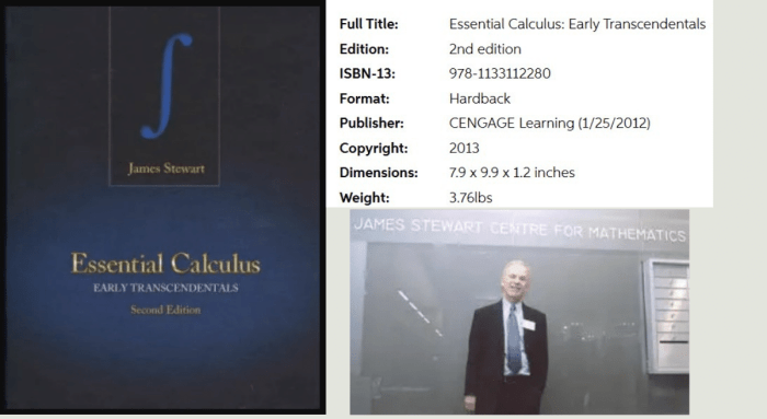 Stewart essential calculus 2nd edition pdf